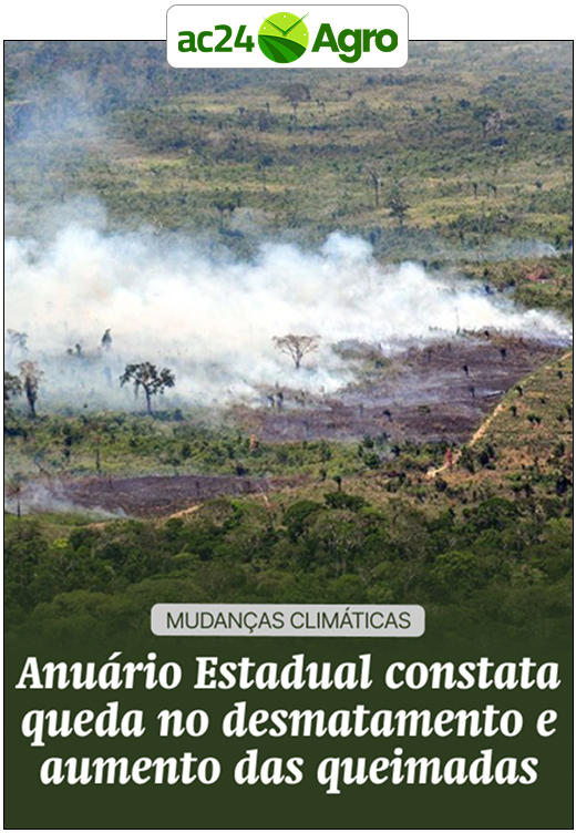 Vasco e Plácido empatam sem gols na Arena da Floresta